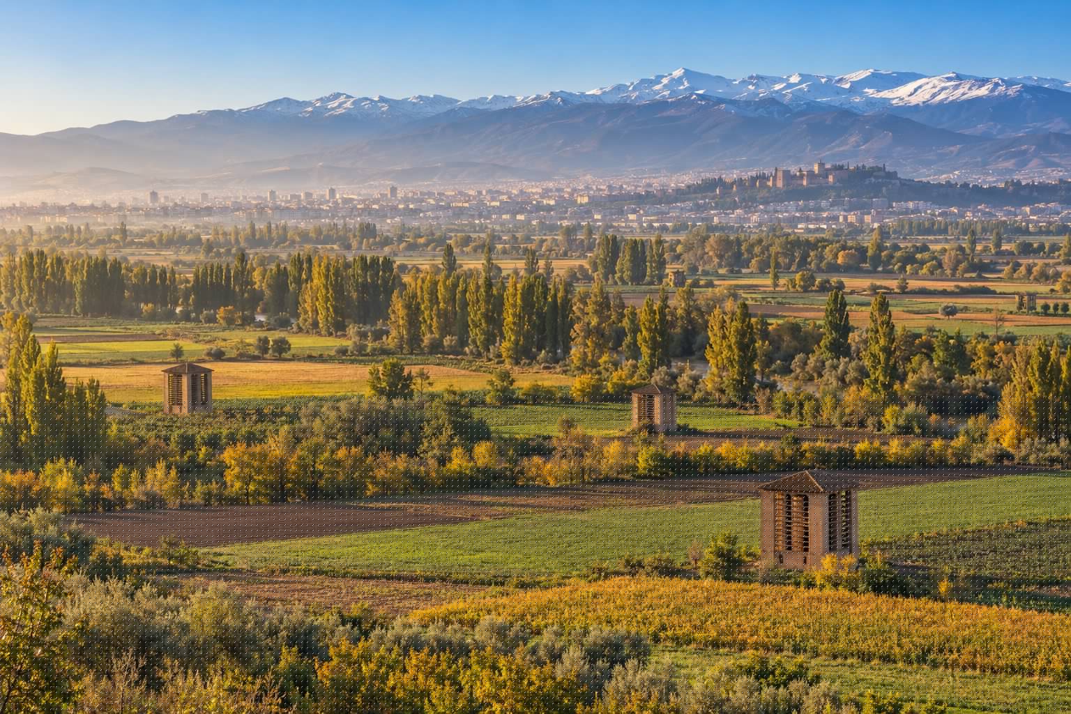 Panorámica de la Vega de Granada con parcelas de cultivo, hileras de chopos y Sierra Nevada nevada al fondo (imagen ilustrativa)