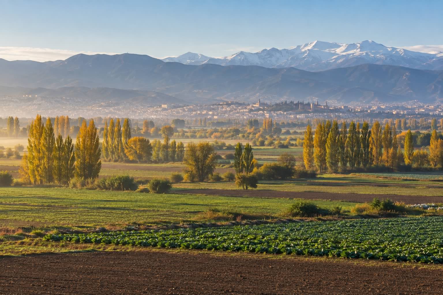 La Vega de Granada a primera hora de una mañana de otoño, con huertas, choperas doradas y la ciudad y Sierra Nevada al fondo.